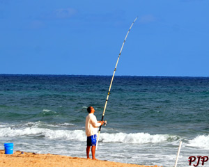 Jupiter Beach Fishing &nbsp;|&nbsp; February, 2015