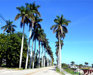 441 East Lake Okeechobee &nbsp;|&nbsp; February, 2015