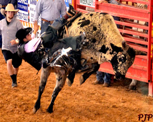 Rodeo Bull Riding &nbsp;|&nbsp; March, 2015