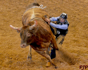 Rodeo Bull Riding &nbsp;|&nbsp; March, 2015