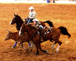 Rodeo Steer Wrestling &nbsp;|&nbsp; March, 2015
