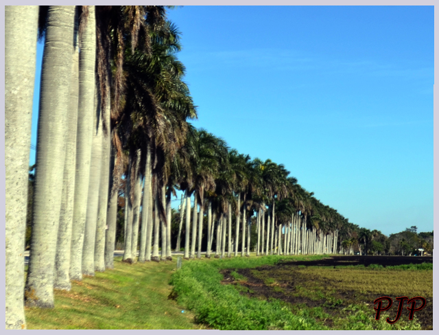 441 East Lak Okeechobee | February 2015